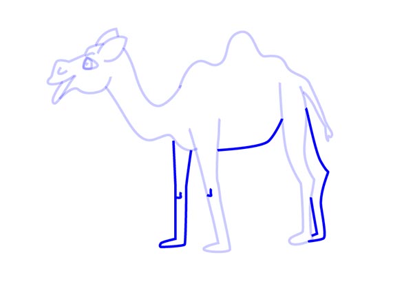 /uploads/image/2021/05/25/How to Draw a Cartoon Camel6.jpg